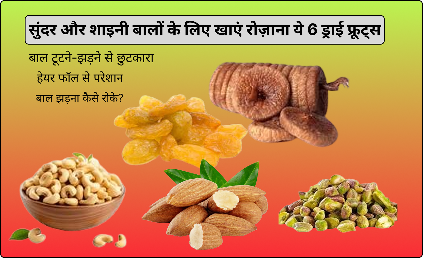 बाल टूटने-झड़ने से छुटकारा: ड्राई फ्रूट्स से पाएं नेचुरल हेयर केयर बाल झड़ने से परेशान हैं! तो डाइट में शामिल करें ये 6 ड्राई फ्रूट्स खाये 